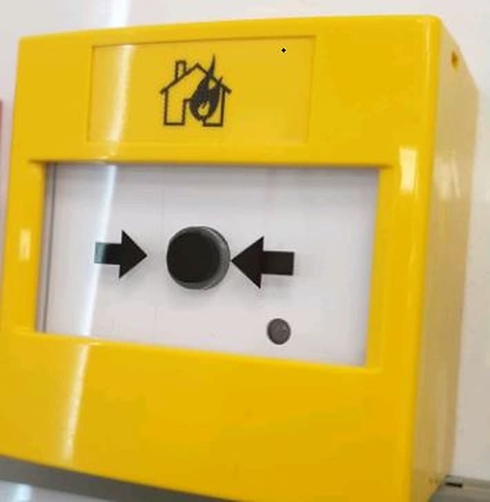 גלריה — תמונה 9